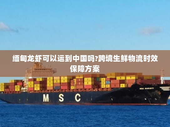 缅甸龙虾可以运到中国吗?跨境生鲜物流时效保障方案 缅甸龙虾可以运到中国吗?跨境生鲜物流时效保障方案