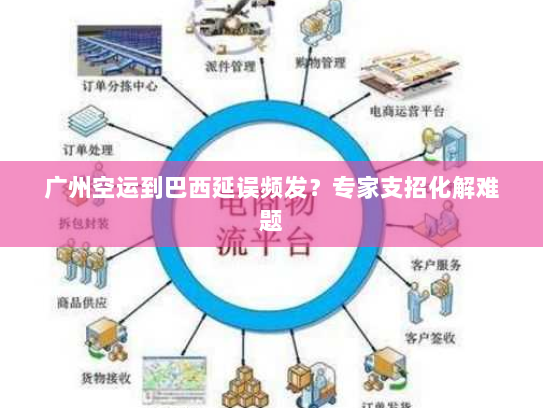 广州空运到巴西延误频发?专家支招化解难题 广州空运到巴西延误频发?专家支招化解难题