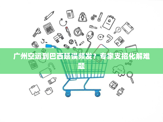 广州空运到巴西延误频发?专家支招化解难题 广州空运到巴西延误频发?专家支招化解难题