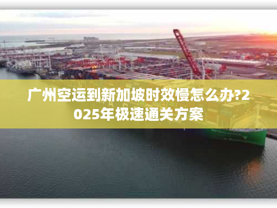 广州空运到新加坡时效慢怎么办?2025年极速通关方案 广州空运到新加坡时效慢怎么办?2025年极速通关方案