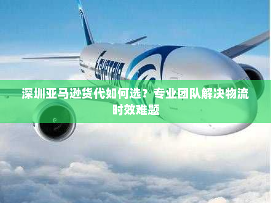 深圳亚马逊货代如何选?专业团队解决物流时效难题 深圳亚马逊货代如何选?专业团队解决物流时效难题