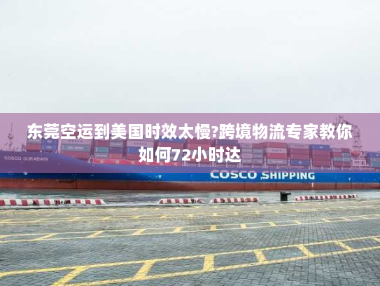 东莞空运到美国时效太慢?跨境物流专家教你如何72小时达