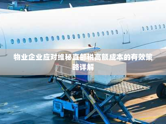 物业企业应对维秘直邮税高额成本的有效策略详解 物业企业应对维秘直邮税高额成本的有效策略详解