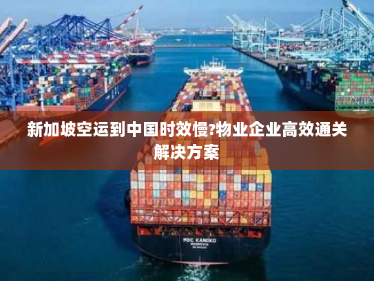 新加坡空运到中国时效慢?物业企业高效通关解决方案