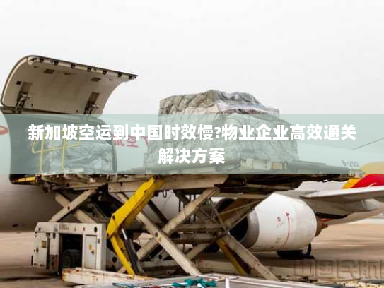 新加坡空运到中国时效慢?物业企业高效通关解决方案