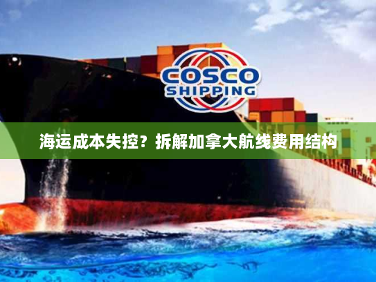 海运成本失控？拆解加拿大航线费用结构