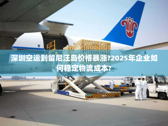 深圳空运到留尼汪岛价格暴涨?2025年企业如何稳定物流成本?