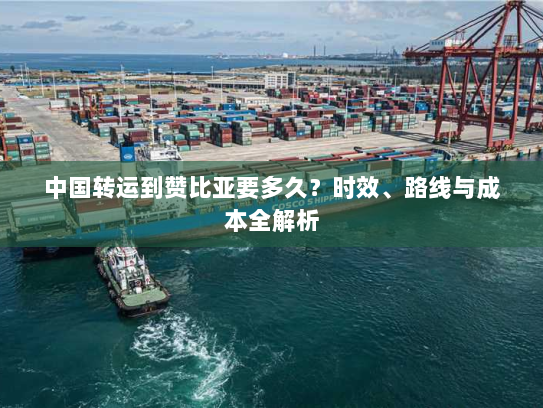 中国转运到赞比亚要多久?时效、路线与成本全解析 中国转运到赞比亚要多久?时效、路线与成本全解析