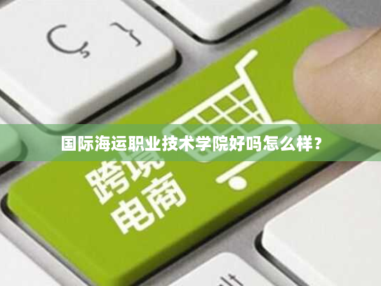 国际海运职业技术学院好吗怎么样? 国际海运职业技术学院好吗怎么样?