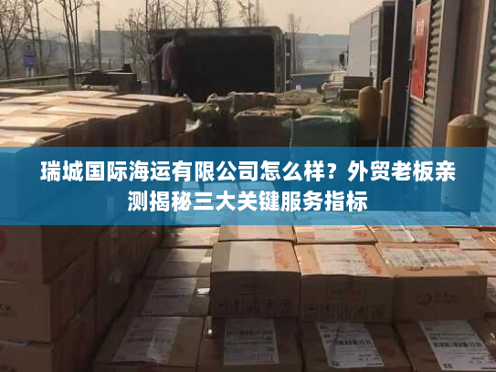 瑞城国际海运有限公司怎么样?外贸老板亲测揭秘三大关键服务指标 瑞城国际海运有限公司怎么样?外贸老板亲测揭秘三大关键服务指标