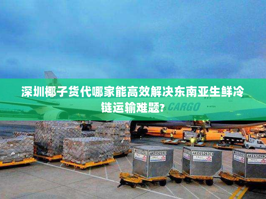 深圳椰子货代哪家能高效解决东南亚生鲜冷链运输难题? 深圳椰子货代哪家能高效解决东南亚生鲜冷链运输难题?