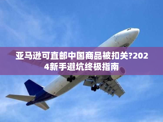 亚马逊可直邮中国商品被扣关?2024新手避坑终极指南