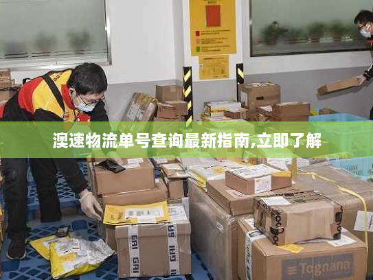 澳速物流单号查询最新指南,立即了解