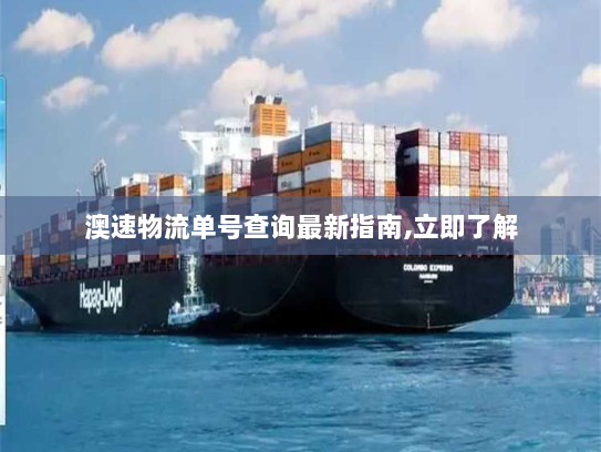 澳速物流单号查询最新指南,立即了解