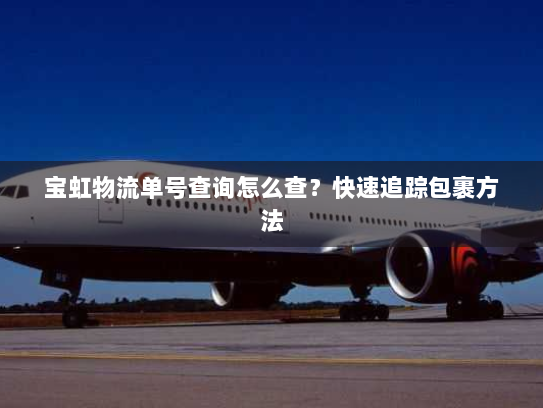 宝虹物流单号查询怎么查?快速追踪包裹方法 宝虹物流单号查询怎么查?快速追踪包裹方法