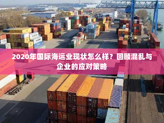 2020年国际海运业现状怎么样？回顾混乱与企业的应对策略