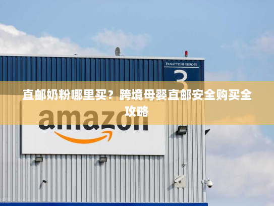 直邮奶粉哪里买?跨境母婴直邮安全购买全攻略 直邮奶粉哪里买?跨境母婴直邮安全购买全攻略