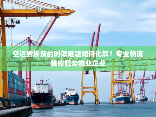 空运到埃及的时效难题如何化解？专业物流策略服务物业企业