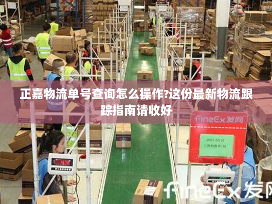 正嘉物流单号查询怎么操作?这份最新物流跟踪指南请收好