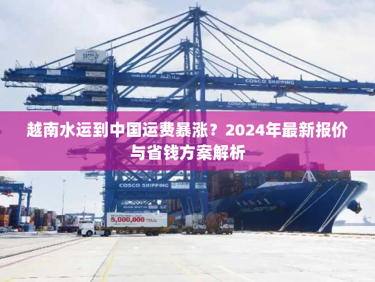 越南水运到中国运费暴涨？2024年最新报价与省钱方案解析