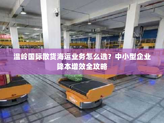 温岭国际散货海运业务怎么选?中小型企业降本增效全攻略 温岭国际散货海运业务怎么选?中小型企业降本增效全攻略