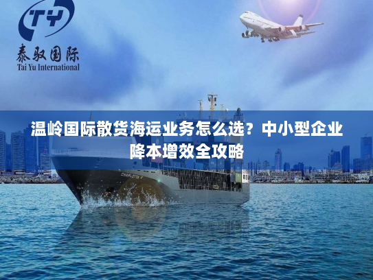 温岭国际散货海运业务怎么选?中小型企业降本增效全攻略 温岭国际散货海运业务怎么选?中小型企业降本增效全攻略