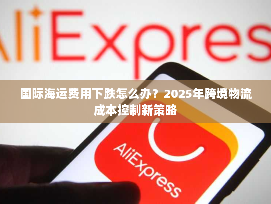 国际海运费用下跌怎么办？2025年跨境物流成本控制新策略