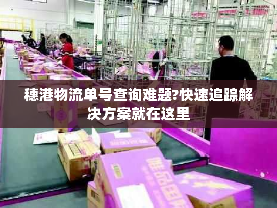 穗港物流单号查询难题?快速追踪解决方案就在这里