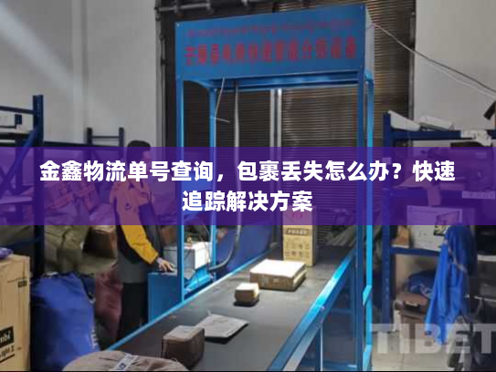 金鑫物流单号查询,包裹丢失怎么办?快速追踪解决方案 金鑫物流单号查询,包裹丢失怎么办?快速追踪解决方案