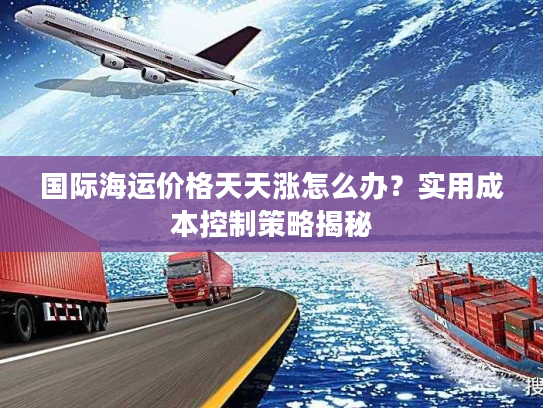 国际海运价格天天涨怎么办？实用成本控制策略揭秘