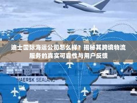 迪士国际海运公司怎么样？揭秘其跨境物流服务的真实可靠性与用户反馈