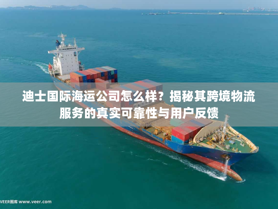 迪士国际海运公司怎么样？揭秘其跨境物流服务的真实可靠性与用户反馈