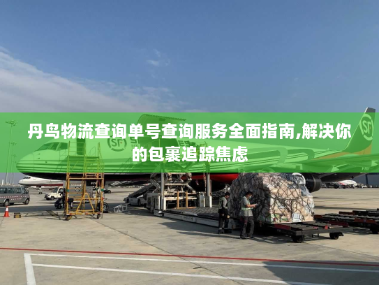 丹鸟物流查询单号查询服务全面指南,解决你的包裹追踪焦虑 丹鸟物流查询单号查询服务全面指南,解决你的包裹追踪焦虑