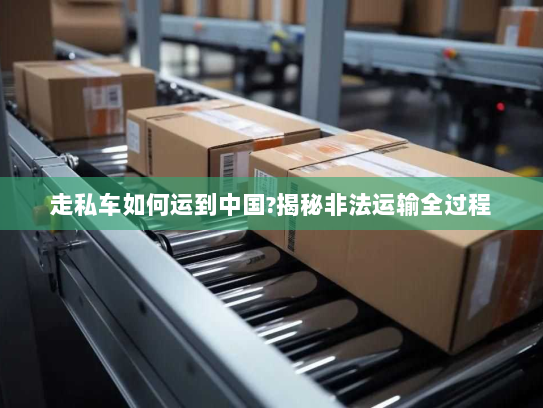 走私车如何运到中国?揭秘非法运输全过程