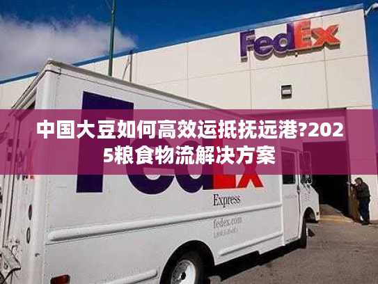 中国大豆如何高效运抵抚远港?2025粮食物流解决方案