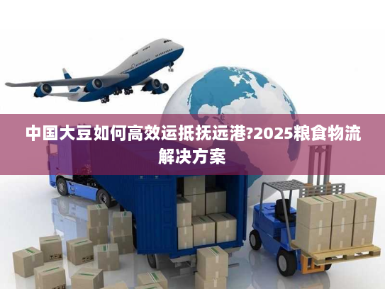 中国大豆如何高效运抵抚远港?2025粮食物流解决方案 中国大豆如何高效运抵抚远港?2025粮食物流解决方案