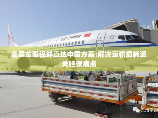 泰国龙眼保鲜直达中国方案:解决运输损耗通关延误痛点