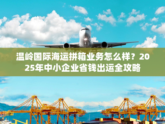 温岭国际海运拼箱业务怎么样？2025年中小企业省钱出运全攻略