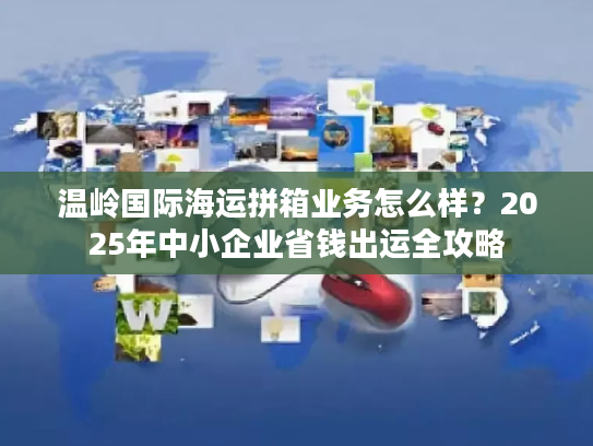 温岭国际海运拼箱业务怎么样？2025年中小企业省钱出运全攻略