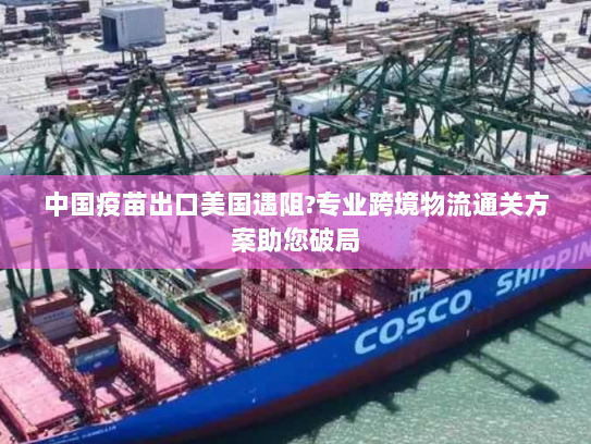 中国疫苗出口美国遇阻?专业跨境物流通关方案助您破局 中国疫苗出口美国遇阻?专业跨境物流通关方案助您破局