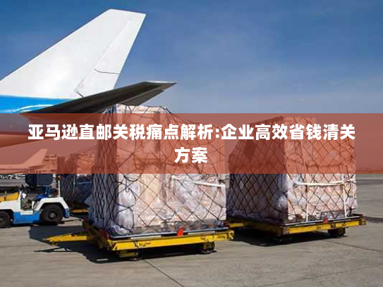 亚马逊直邮关税痛点解析:企业高效省钱清关方案