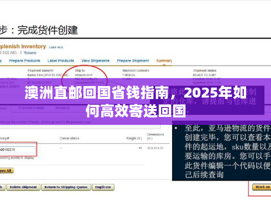 澳洲直邮回国省钱指南，2025年如何高效寄送回国