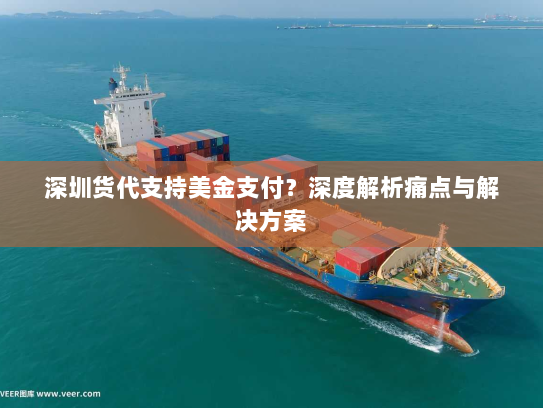 深圳货代支持美金支付?深度解析痛点与解决方案 深圳货代支持美金支付?深度解析痛点与解决方案