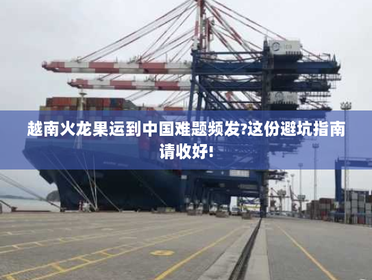 越南火龙果运到中国难题频发?这份避坑指南请收好! 越南火龙果运到中国难题频发?这份避坑指南请收好!