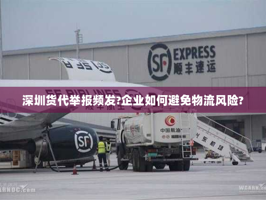 深圳货代举报频发?企业如何避免物流风险? 深圳货代举报频发?企业如何避免物流风险?