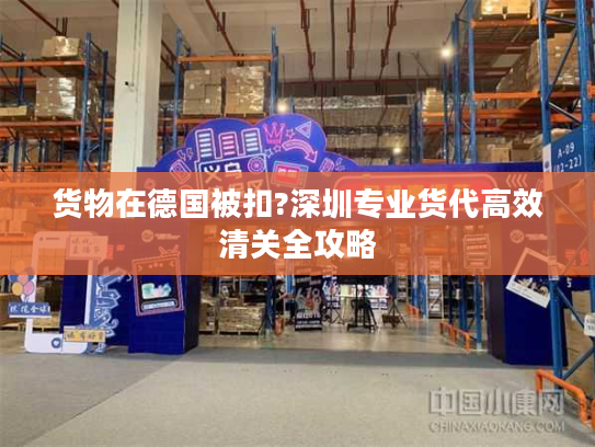 货物在德国被扣?深圳专业货代高效清关全攻略