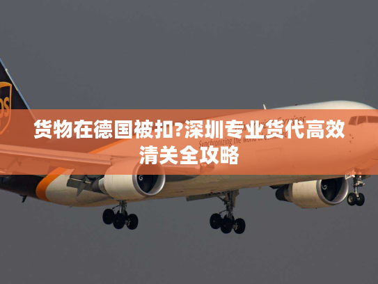 货物在德国被扣?深圳专业货代高效清关全攻略