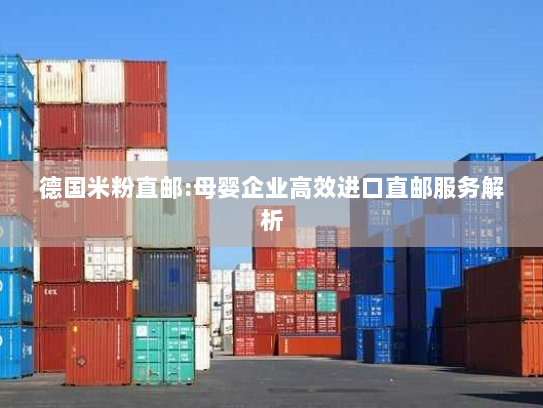 德国米粉直邮:母婴企业高效进口直邮服务解析