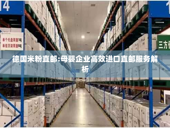 德国米粉直邮:母婴企业高效进口直邮服务解析