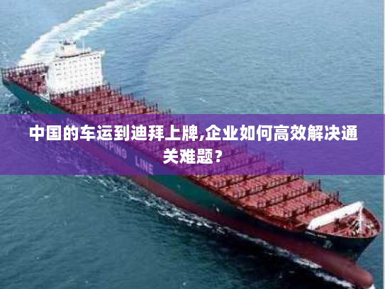 中国的车运到迪拜上牌,企业如何高效解决通关难题? 中国的车运到迪拜上牌,企业如何高效解决通关难题?